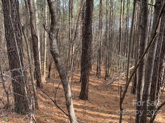 0 Chasewood Drive, Unit 13 Rutherfordton, NC 28139 - Photo 8 of 16