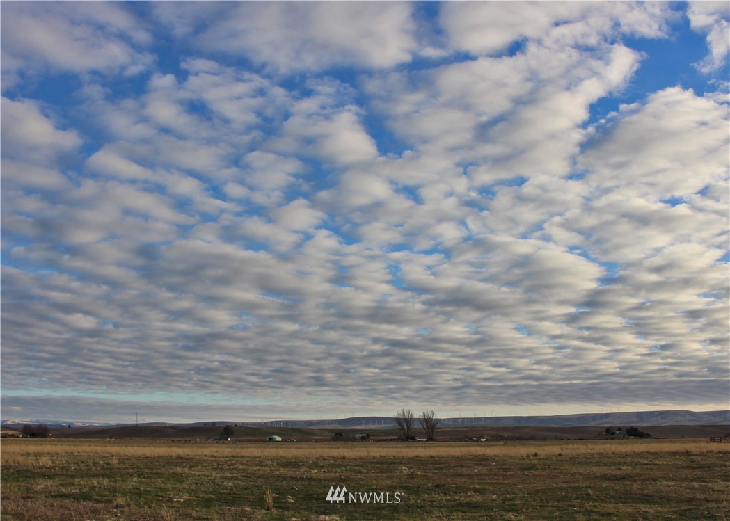 735 Jeanne's Road Touchet, WA 99360 - Photo 13 of 40