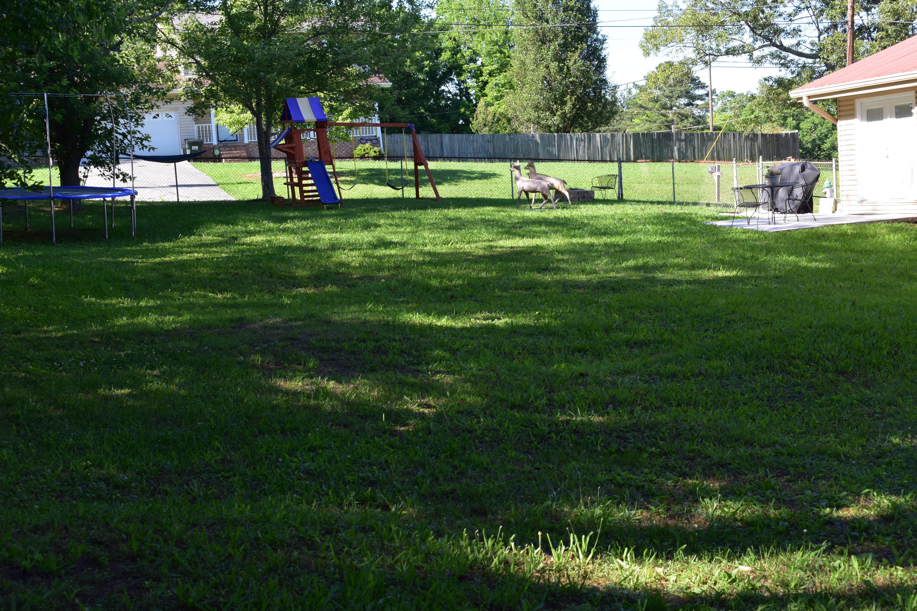 894 Osburn Road Chickamauga, GA 30707 - Photo 15 of 17 DSC_0514