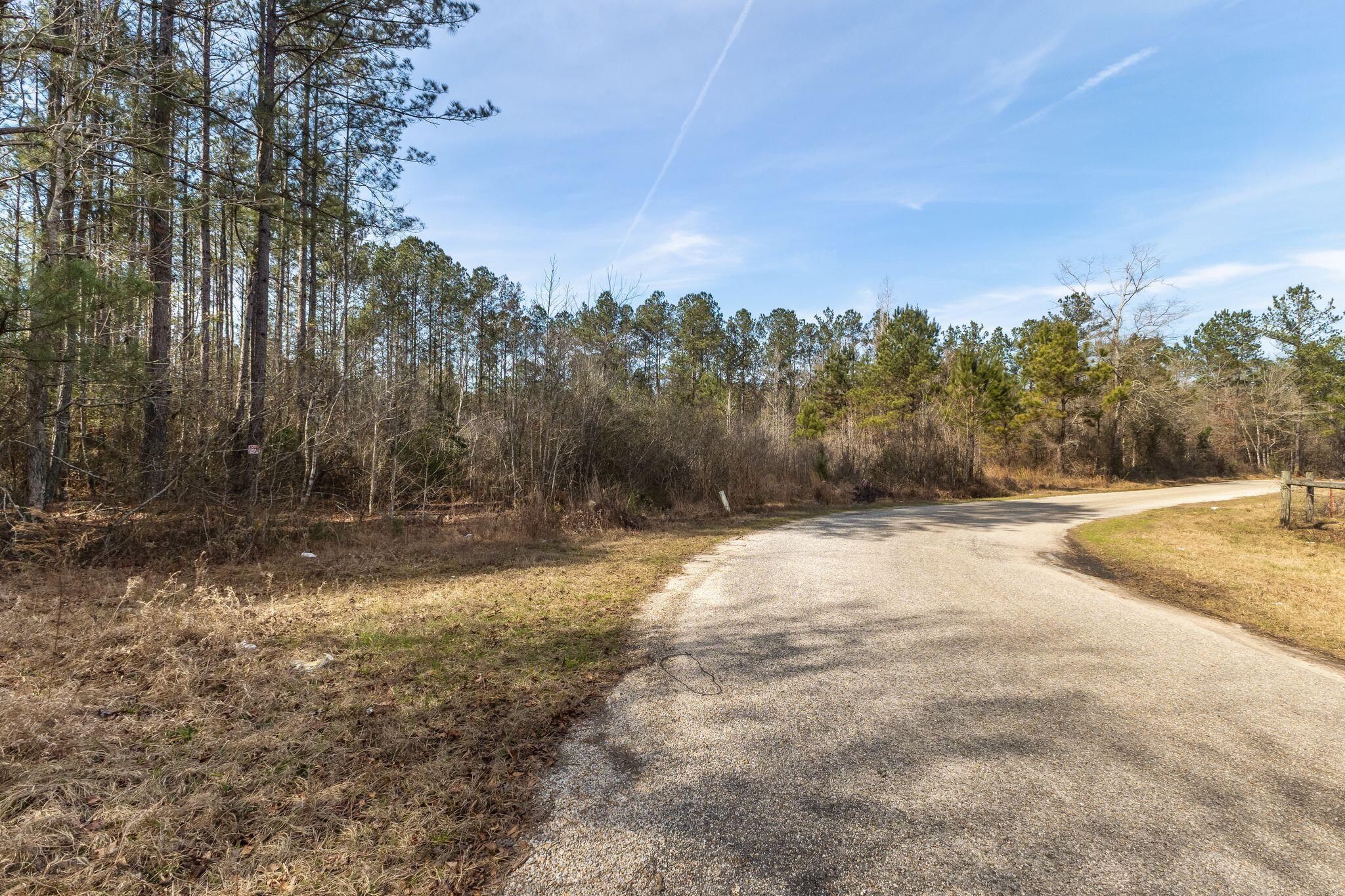 301 Woods Road Lucedale, MS 39452 - Photo 2 of 17 Woods_Road-2
