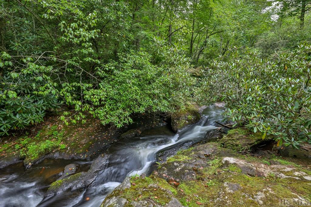 1124 Billy Cabin Road Highlands, NC 28741 - Photo 10 of 67 Gallery Image 10