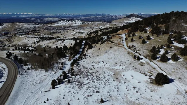 a view of a yard with trees in the background