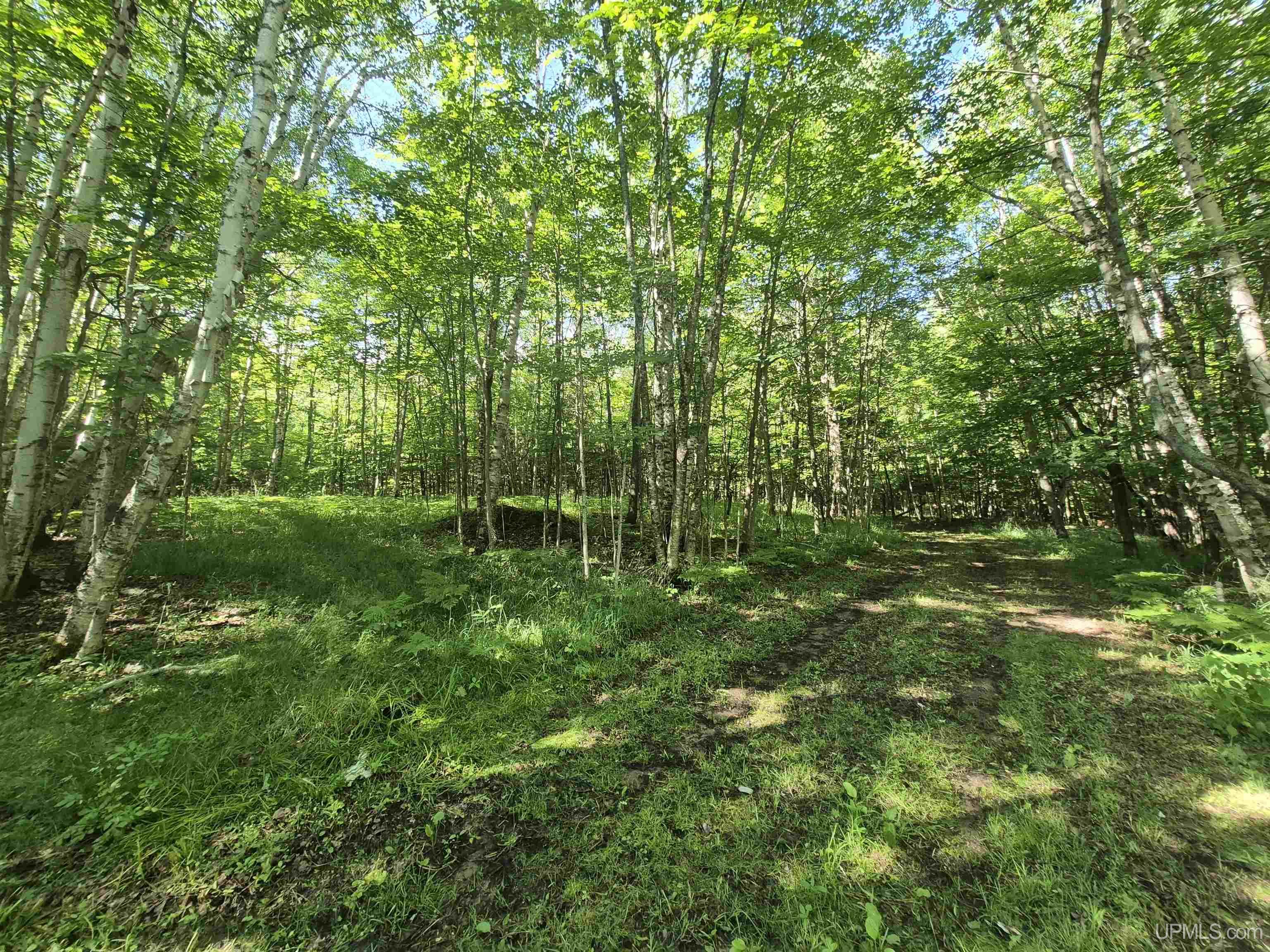 8-acres Nestor Road Munising, MI 49862 - Photo 19 of 43