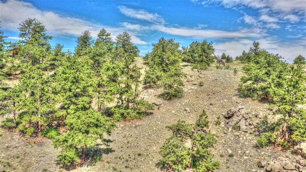 812 Arapaho Road Hartsel, CO 80449 - Photo 14 of 26 Gallery Image 14