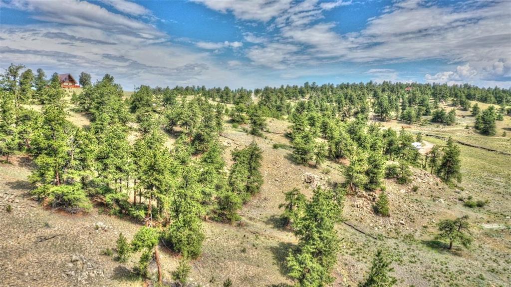 812 Arapaho Road Hartsel, CO 80449 - Photo 22 of 26 Gallery Image 22