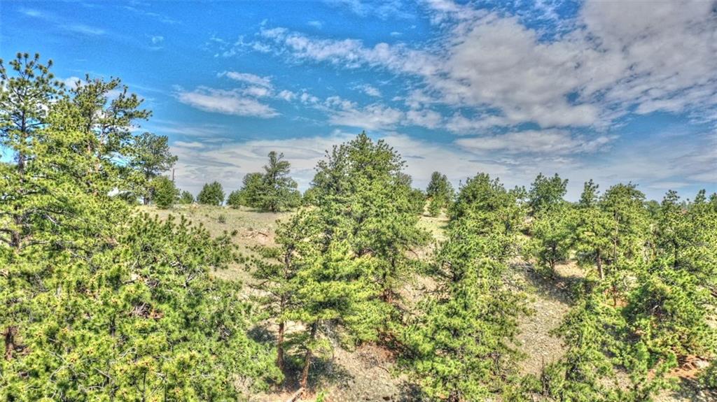 812 Arapaho Road Hartsel, CO 80449 - Photo 7 of 26 Gallery Image 7