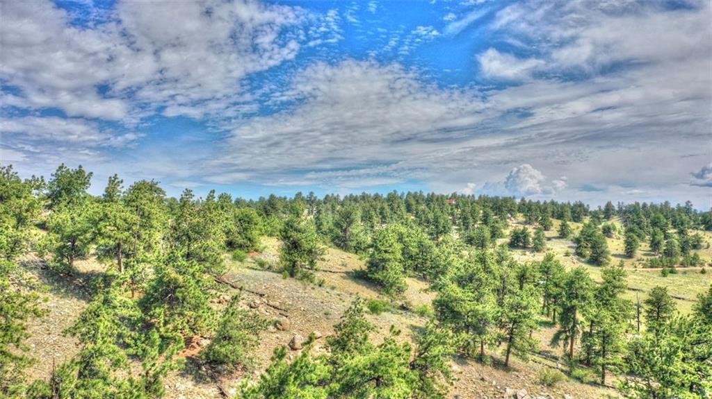 812 Arapaho Road Hartsel, CO 80449 - Photo 8 of 26 Gallery Image 8