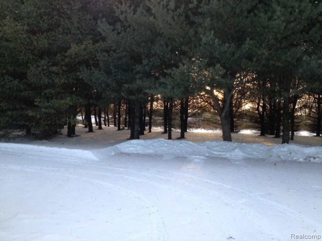 13140 West Albain Road Petersburg, MI 49270 - Photo 18 of 22 The Yard in Winter