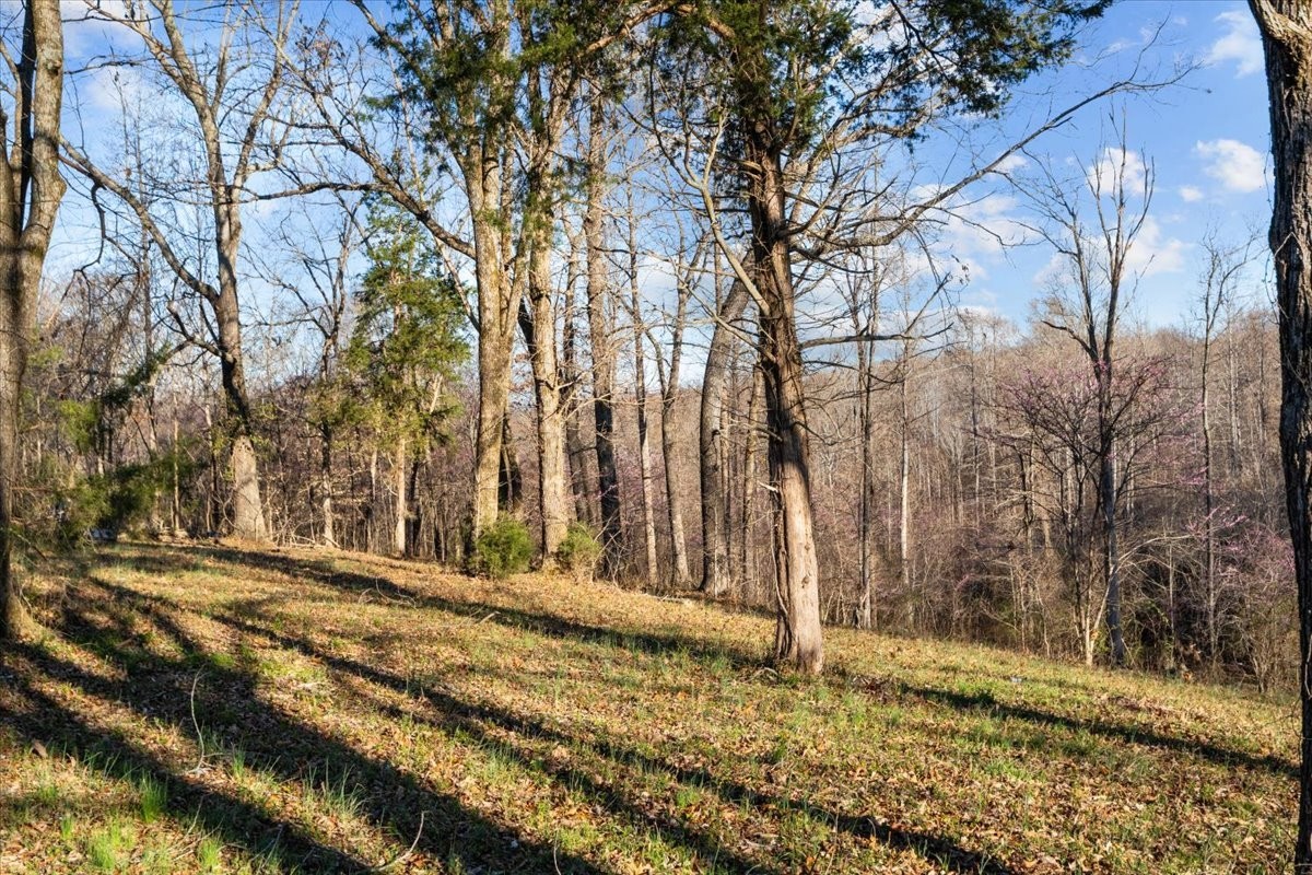 368 Joslin Branch Road White Bluff, TN 37187 - Photo 15 of 17 Gallery Image 15