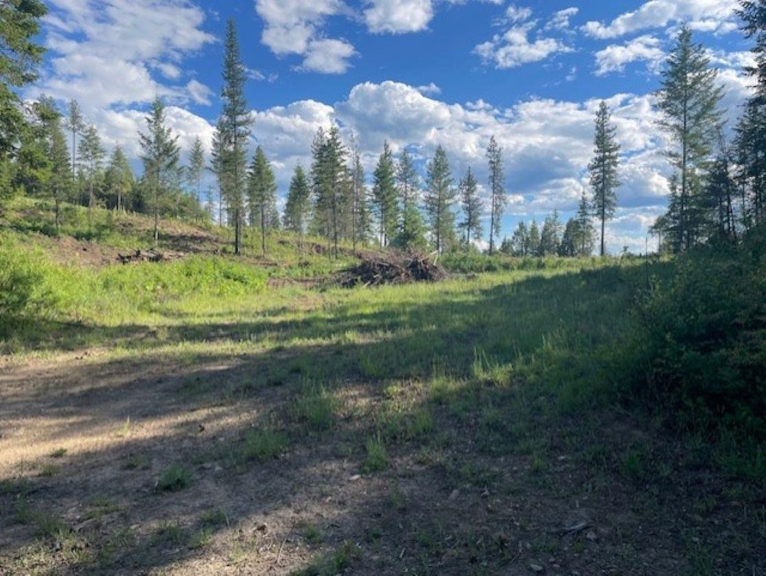 Nkn Bead Lake Road Oldtown, ID 83822 - Photo 2 of 27