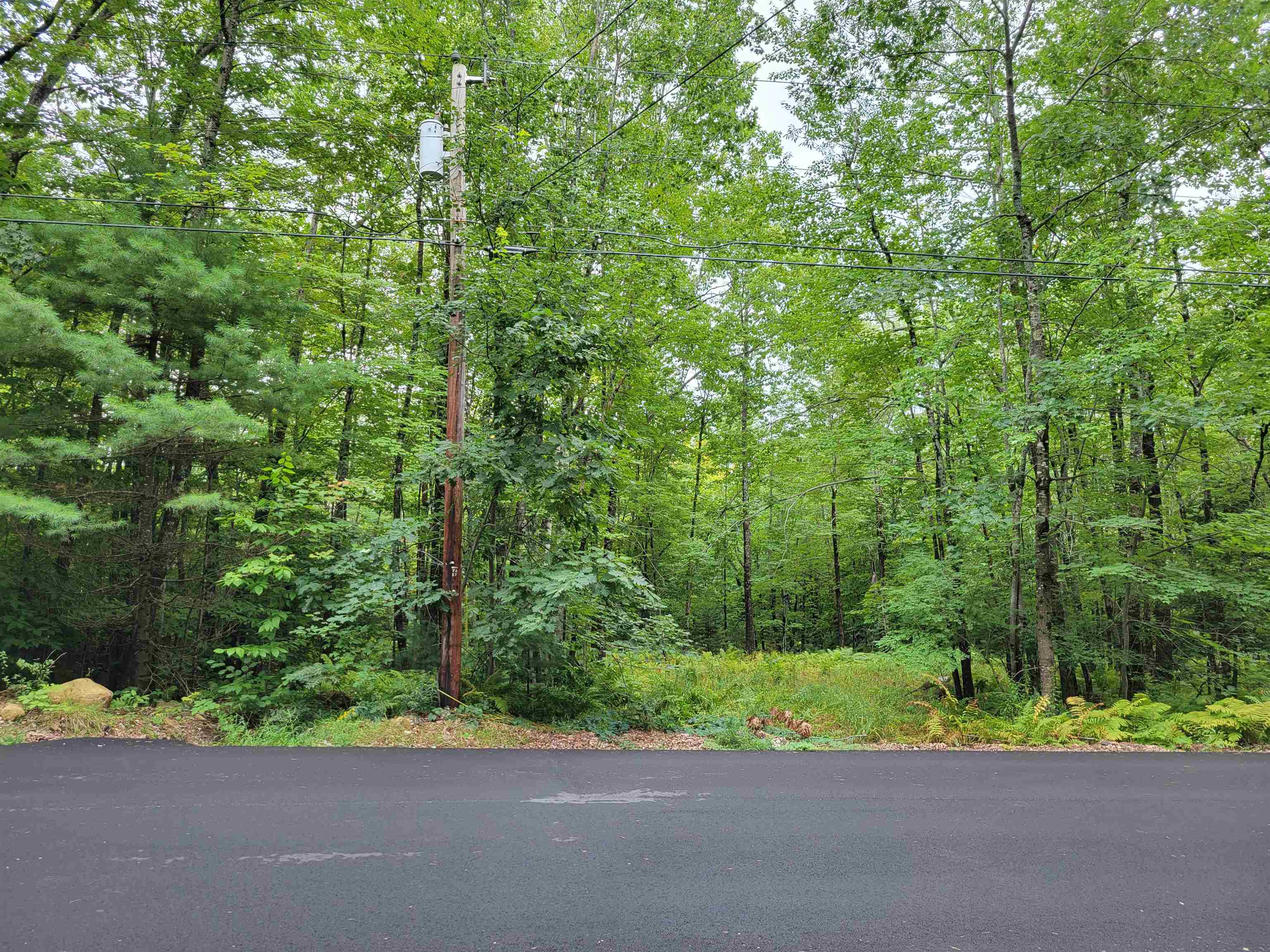 139-9 Stoneham Road Wolfeboro, NH 03894 - Photo 2 of 8