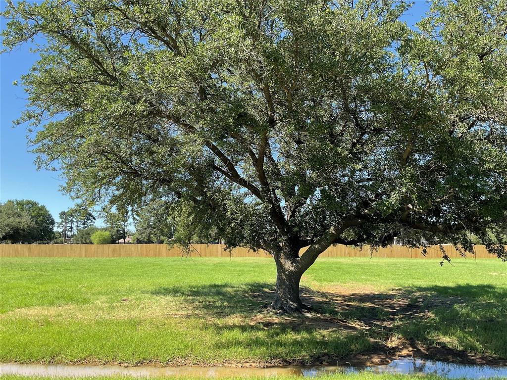 Tbd Lot 3 Tbd Road Aubrey, TX 76227 - Photo 3 of 6 a view of green field with trees in the background