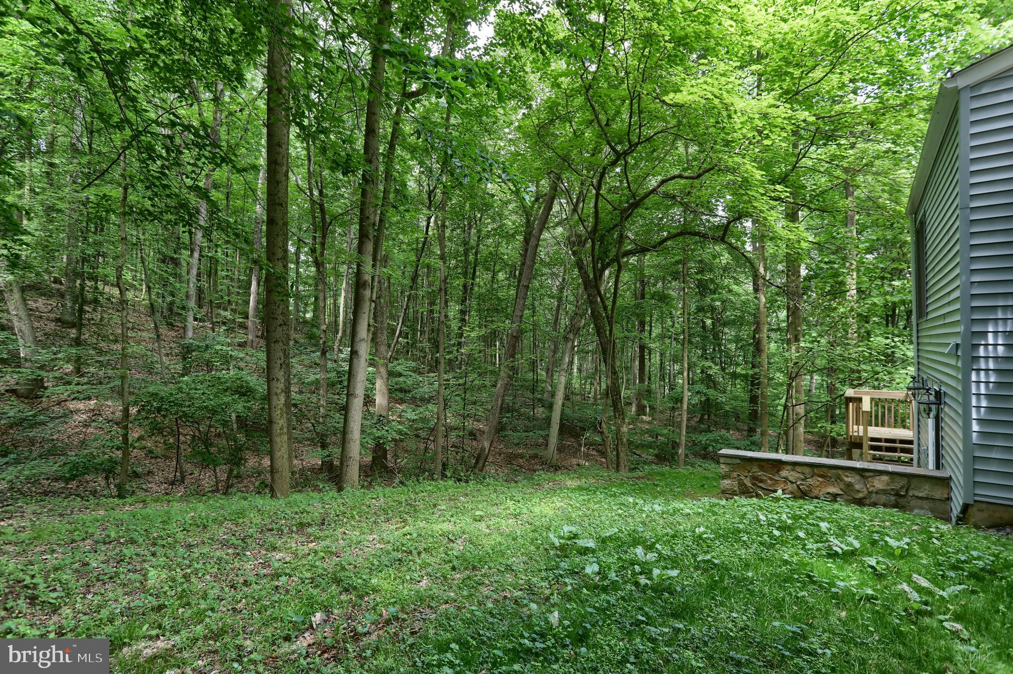 138 Ironmaster Road Lebanon, PA 17042 - Photo 53 of 58 Gallery Image 53