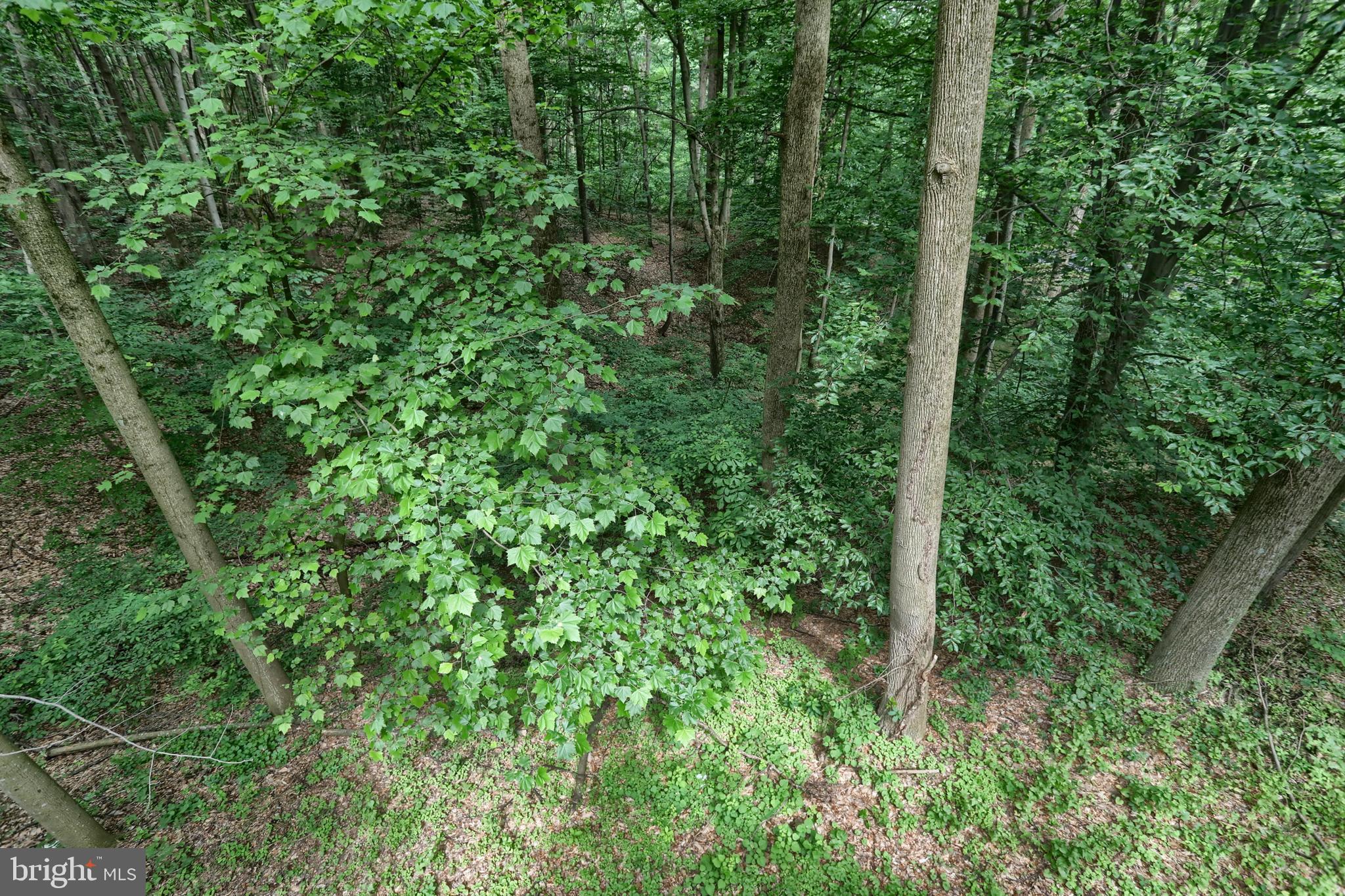 138 Ironmaster Road Lebanon, PA 17042 - Photo 55 of 58 Gallery Image 55
