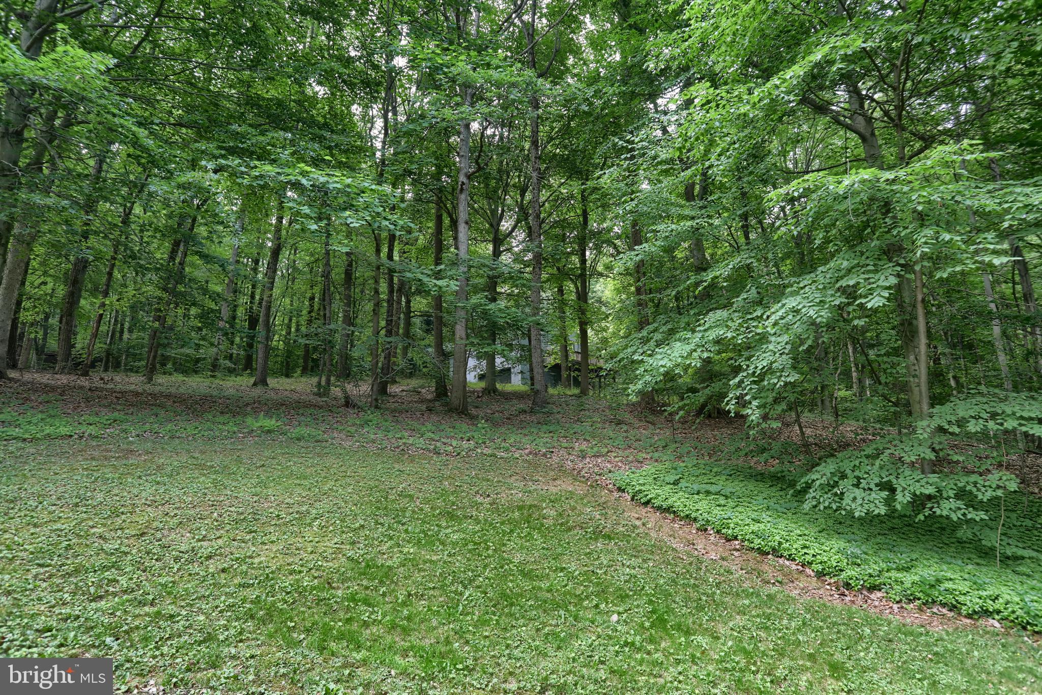 138 Ironmaster Road Lebanon, PA 17042 - Photo 57 of 58 Gallery Image 57