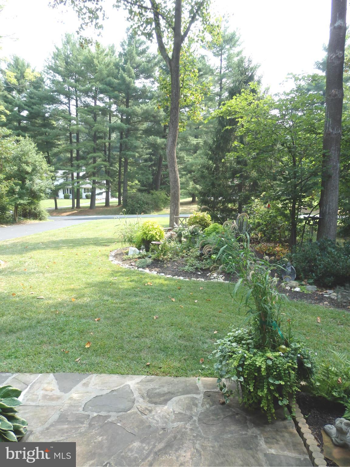 5512 Woodlyn Road Frederick, MD 21703 - Photo 2 of 30 View from your front door