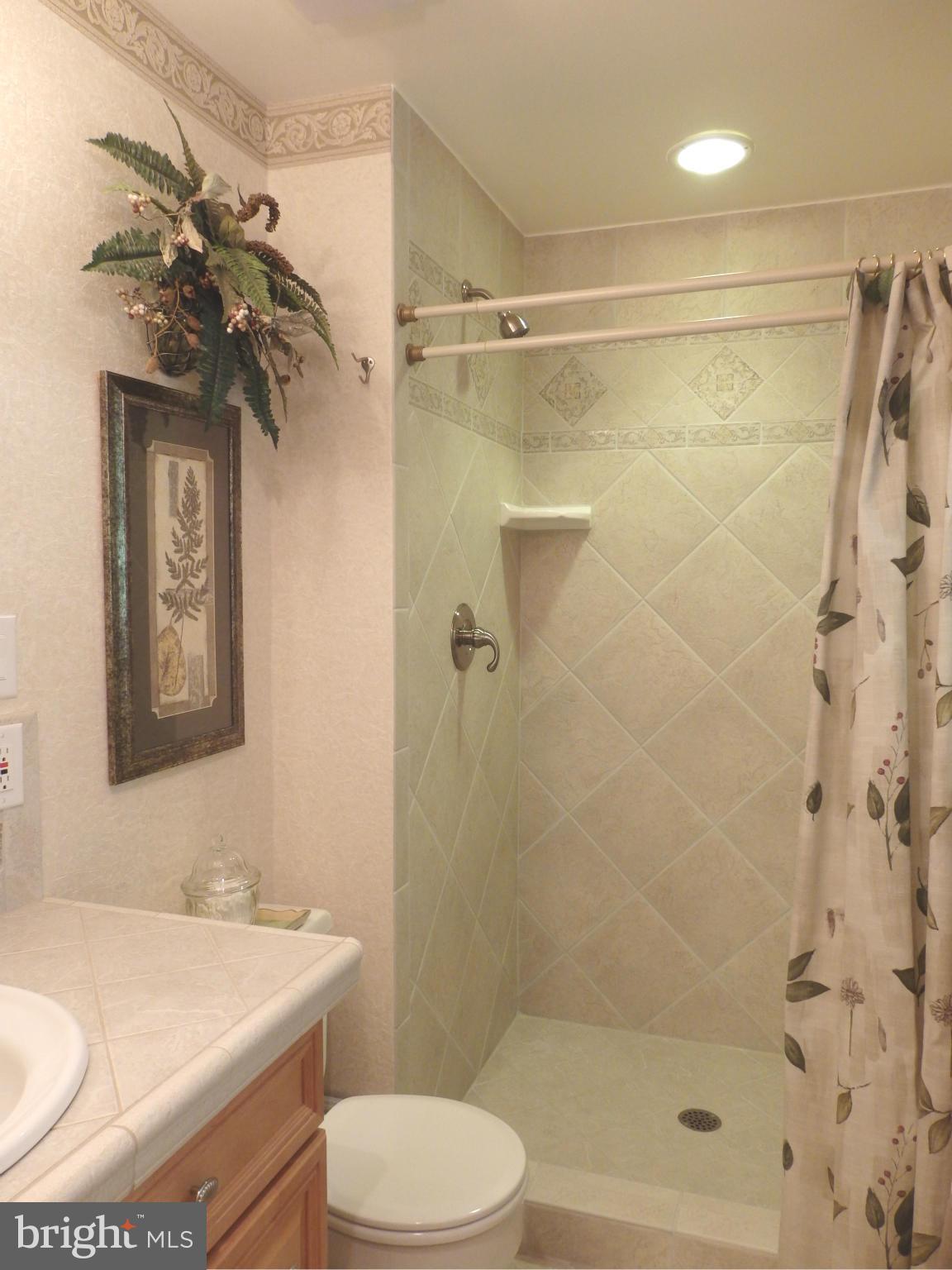5512 Woodlyn Road Frederick, MD 21703 - Photo 14 of 30 Beautiful tile work in owners bath