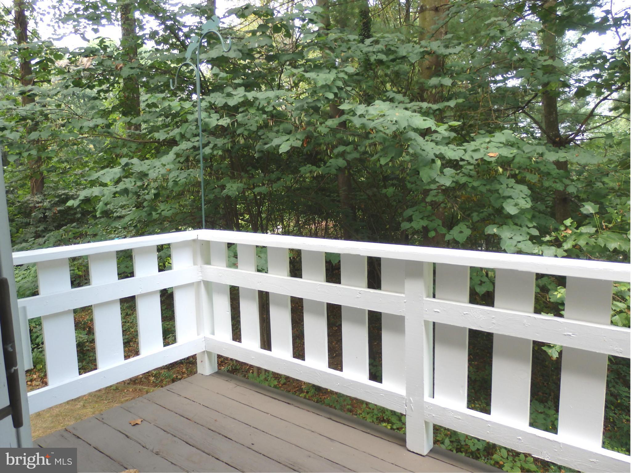 5512 Woodlyn Road Frederick, MD 21703 - Photo 15 of 30 Owners suite has private balcony