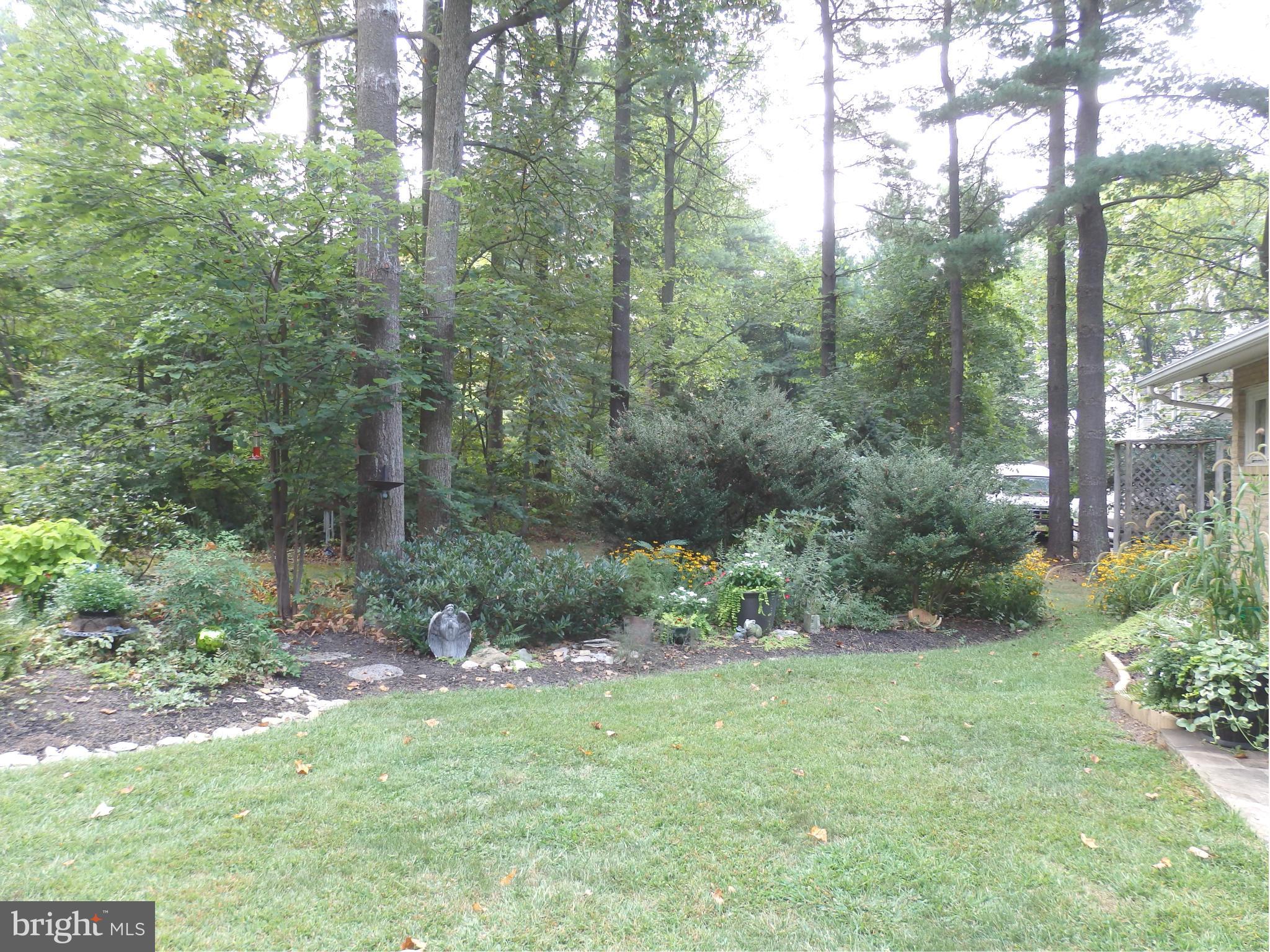 5512 Woodlyn Road Frederick, MD 21703 - Photo 30 of 30 Trees, shrubs and flowers galore
