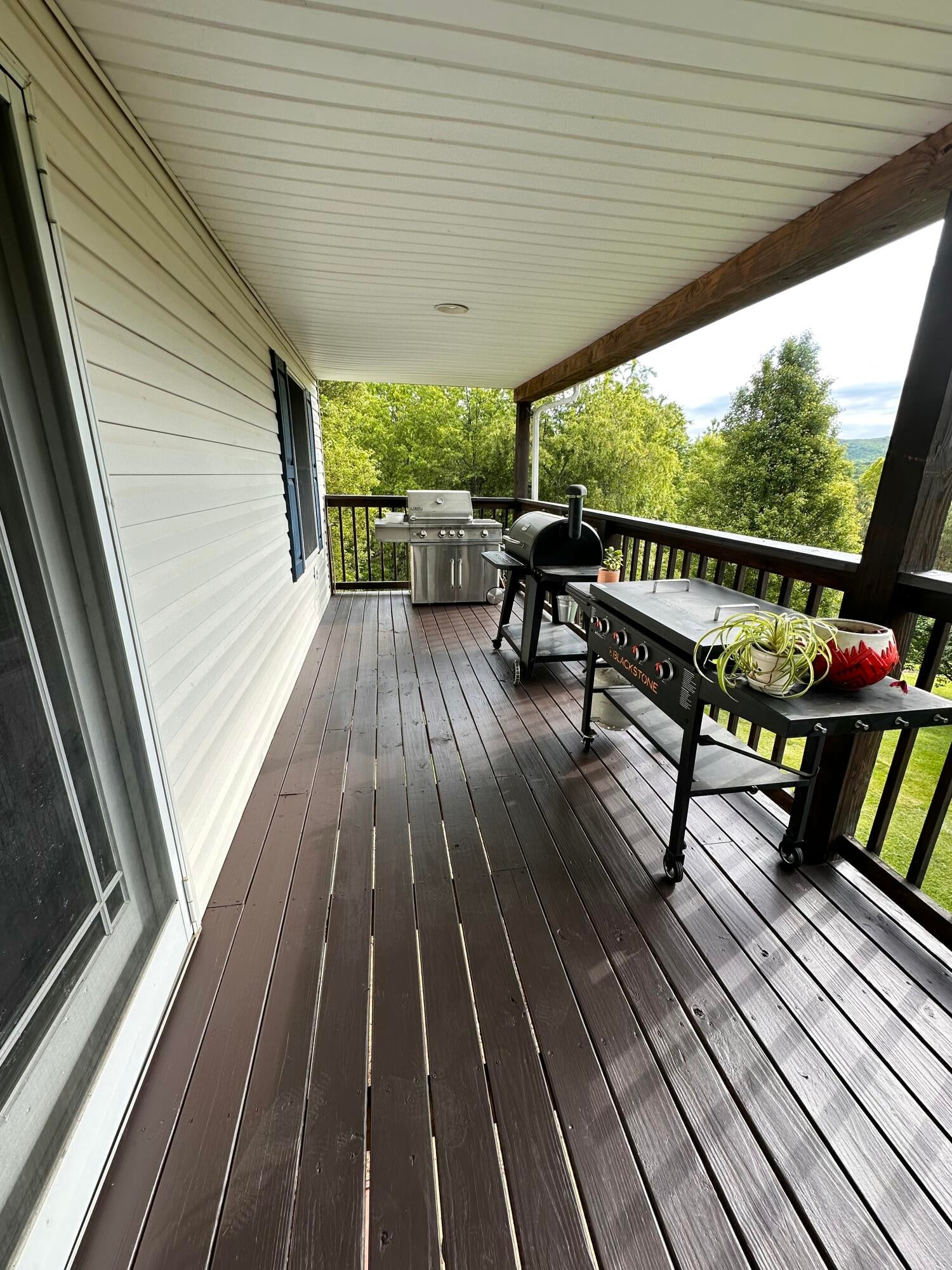 164 Charles Masters Road Ronceverte, WV 24970 - Photo 45 of 73 Covered back porch