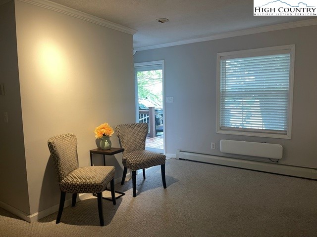 205 Hardaman Circle Boone, NC 28607 - Photo 7 of 37 Gallery Image 7
