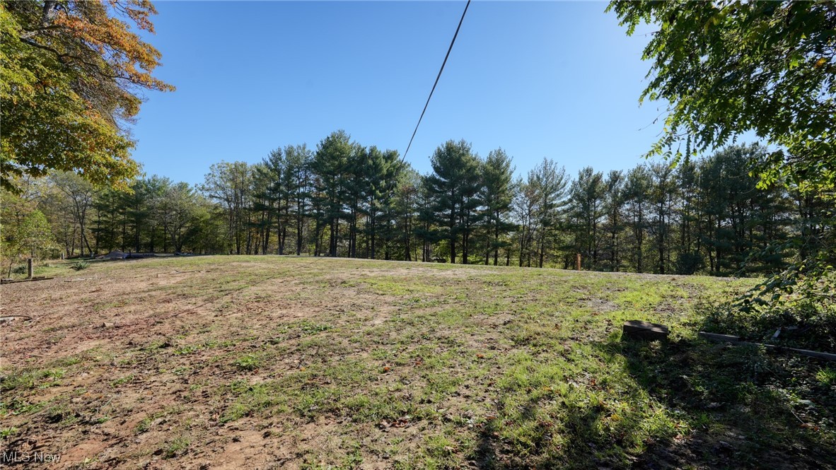 23305 Lashley Road Senecaville, OH 43780 - Photo 14 of 17 View of yard