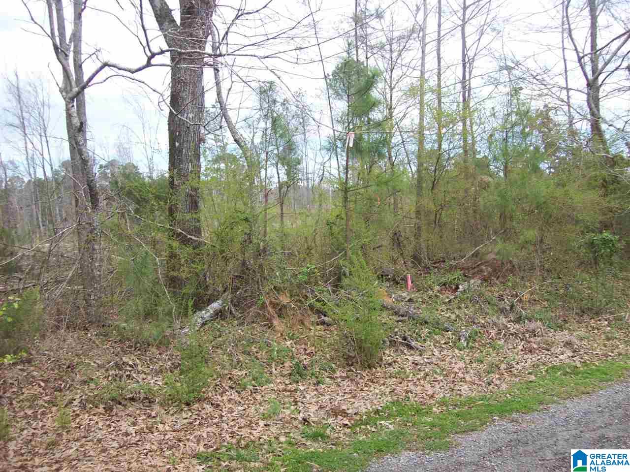 841 Wier Road, Unit 15 Warrior, AL 35180 - Photo 1 of 1