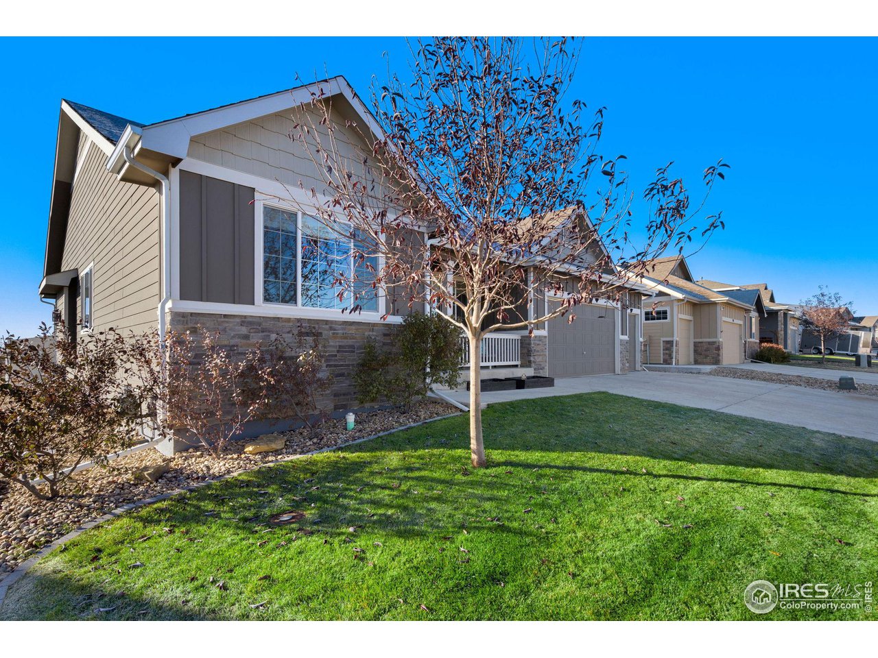 985 Mount Andrew Drive Severance, CO 80550 - Photo 2 of 25 a backyard of a house with plants and a tree