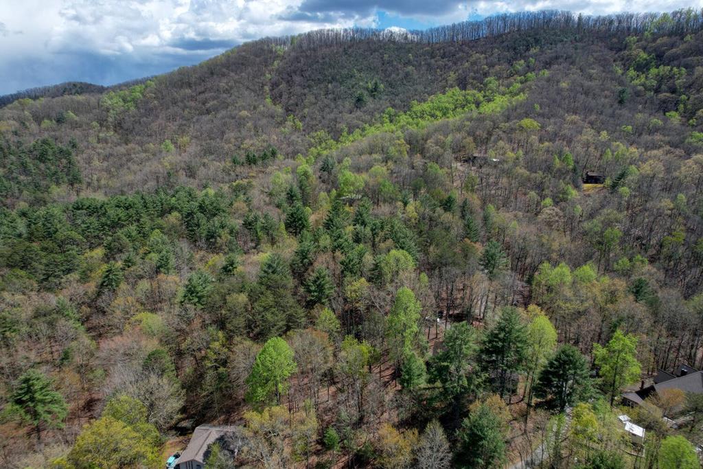 149 Mountain Drive Murphy, NC 28906 - Photo 38 of 42