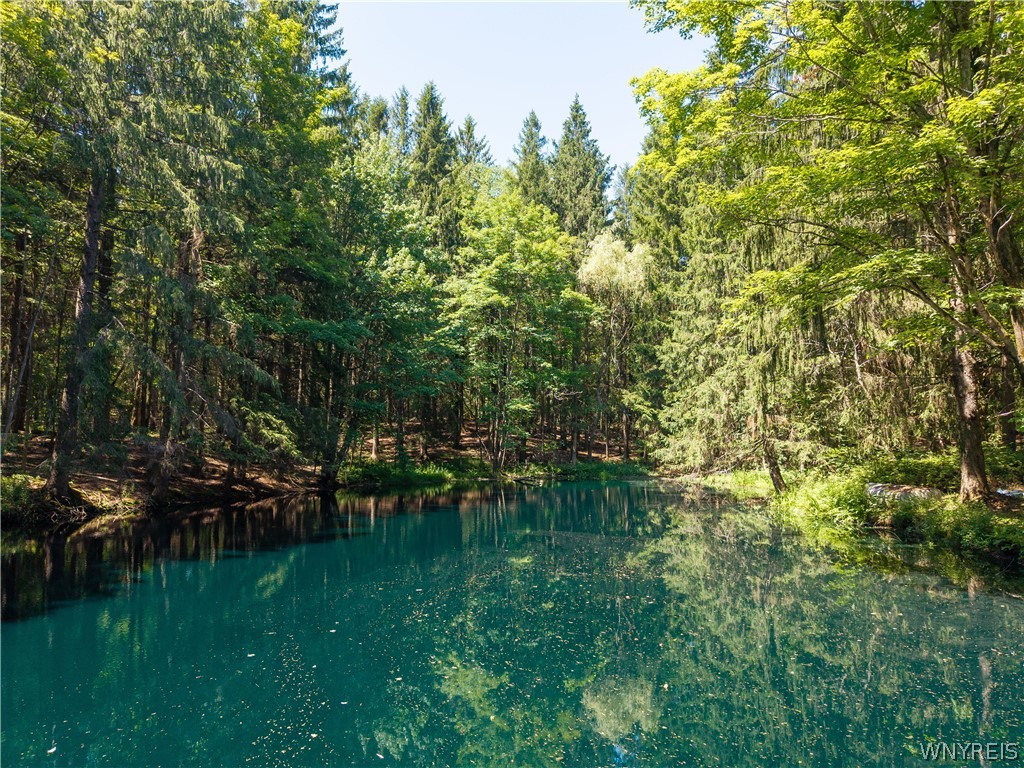 3367 Dunham Road Orangeville, NY 14569 - Photo 4 of 50 Pond