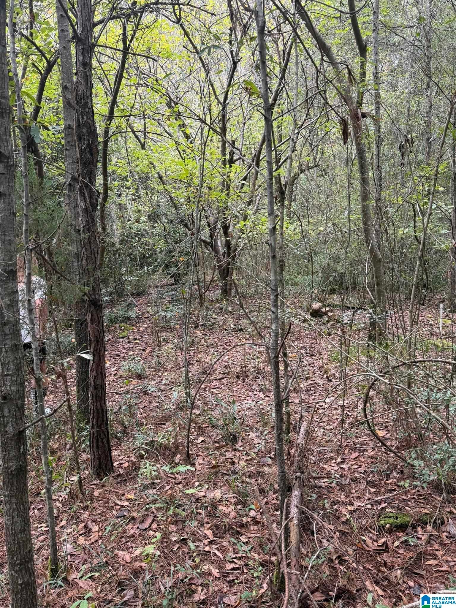 0 Dearmanville Road Anniston, AL 36207 - Photo 11 of 28 Gallery Image 11