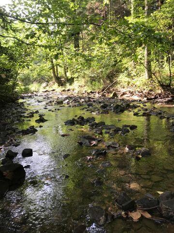 0 Fisherman Cove Road London, KY 40741 - Photo 2 of 3 20200919005048294474000000-o