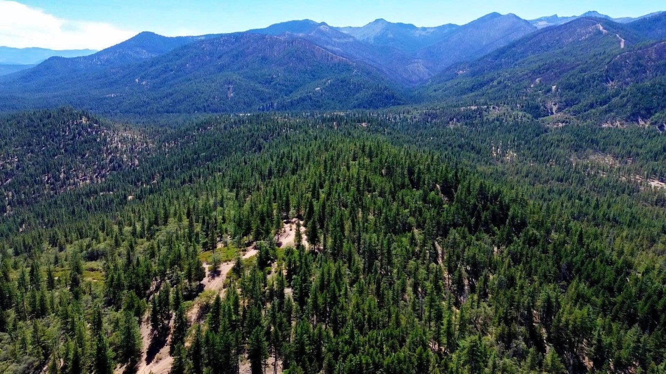 0 South Kidder Creek Road Greenview, CA 96037 - Photo 2 of 22 Gallery Image 2