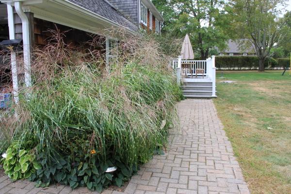 877 Pearse Road Swansea, MA 02777 - Photo 8 of 25 Gallery Image 8