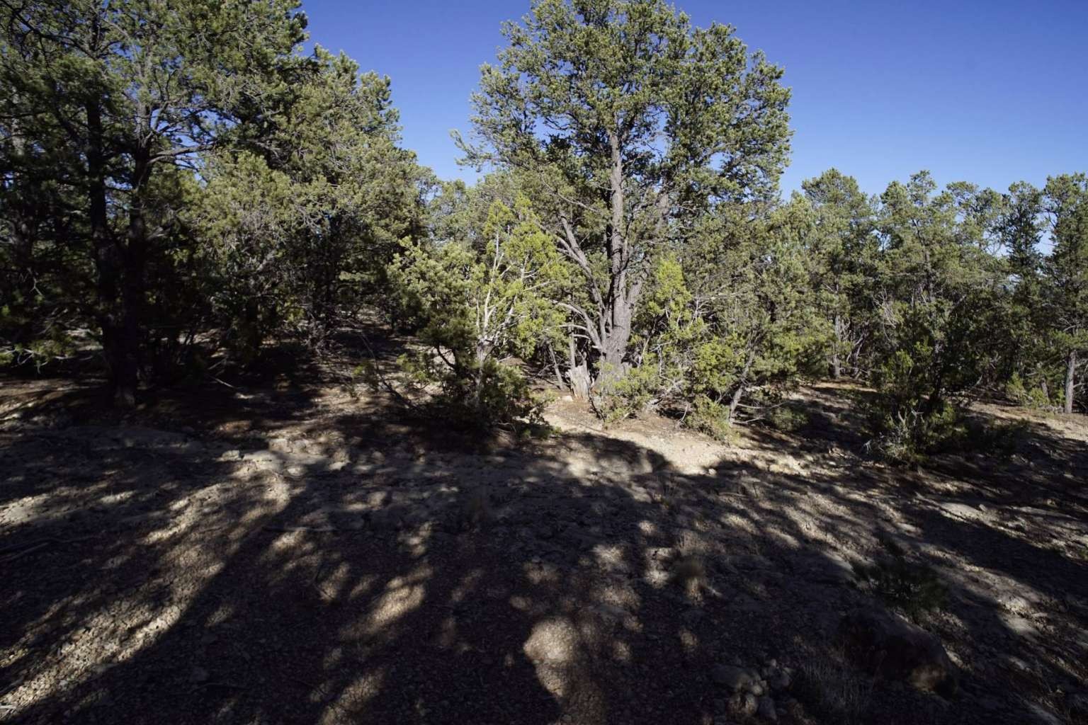 0 Pinon Ridge Road Pecos, NM 87552 - Photo 11 of 39