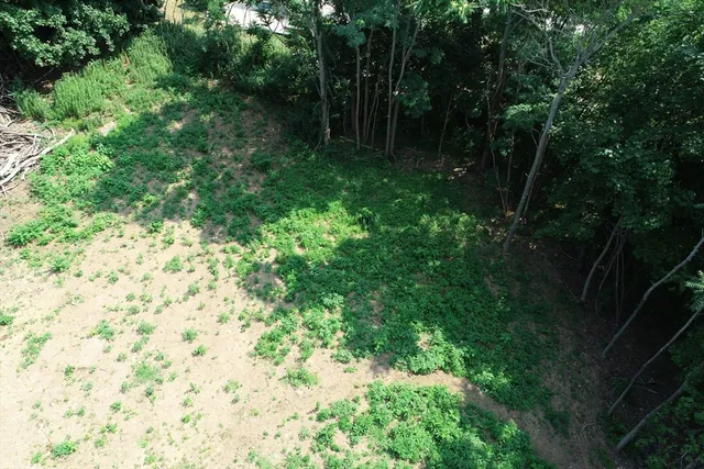 a view of outside area with green space