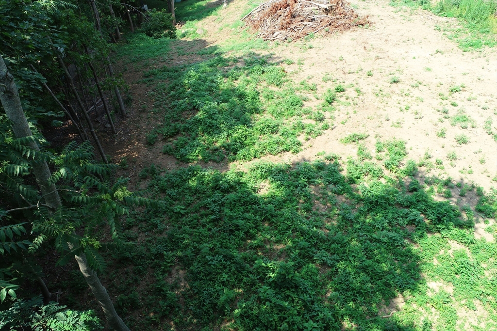 0 Lot 61 Map 10 Salem, MA 01970 - Photo 17 of 25 a view of a yard