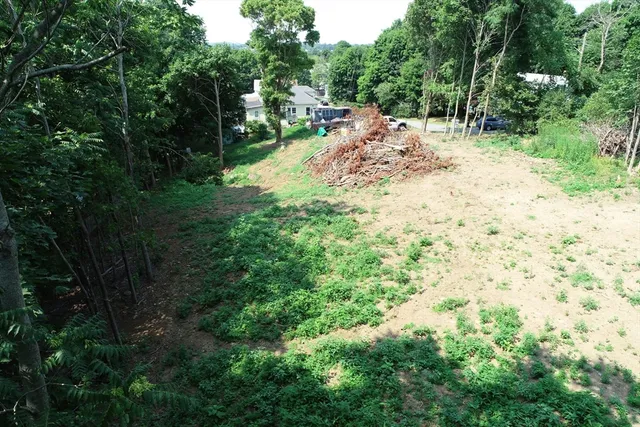 a view of a yard with plants and large trees
