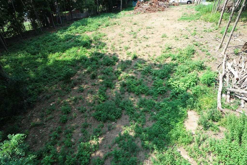 0 Lot 61 Map 10 Salem, MA 01970 - Photo 19 of 25 a view of a yard with plants and tree