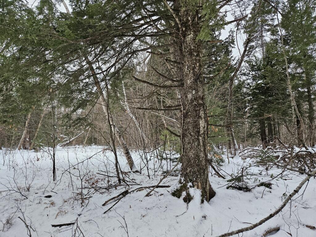 33 North Fryeburg Road Fryeburg, ME 04037 - Photo 7 of 36 7