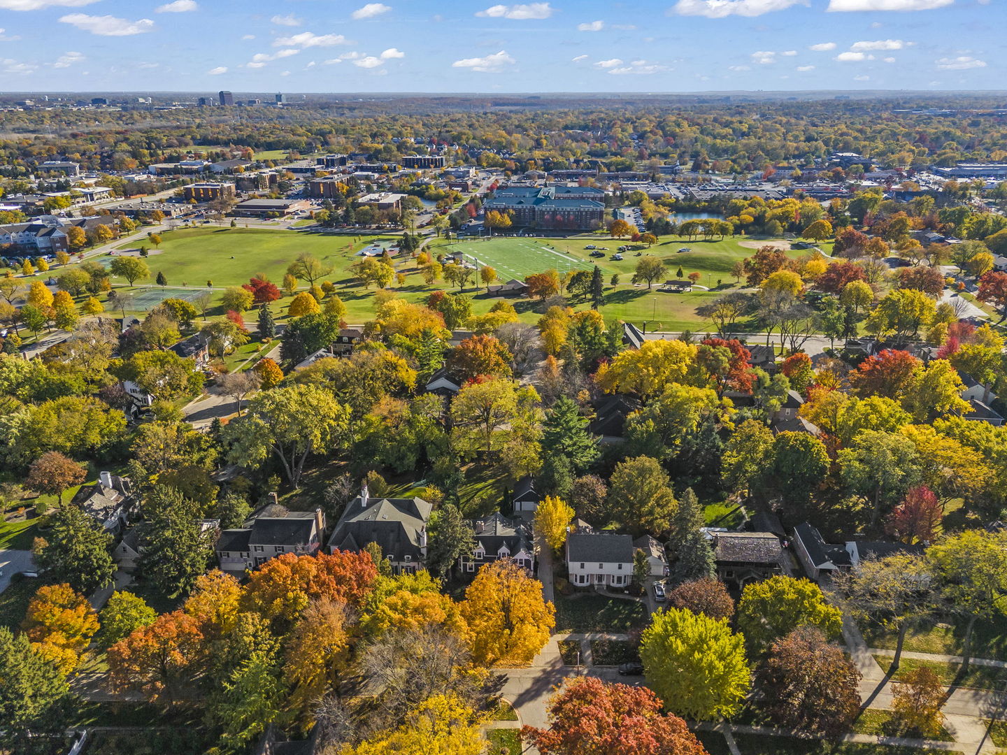 707 Revere Road Glen Ellyn, IL 60137 - Photo 48 of 52 Gallery Image 48
