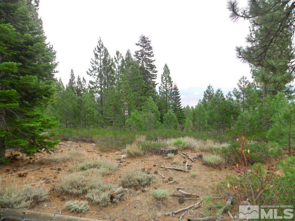 0 Kings Canyon Road Carson City, NV 89703 - Photo 2 of 11 Photo 2