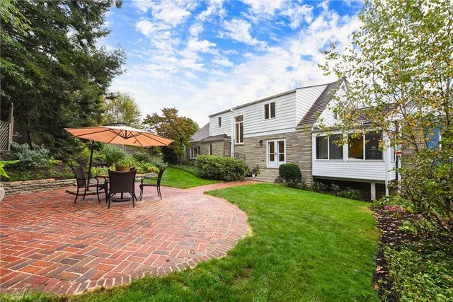 a view of a garden with plants and large trees