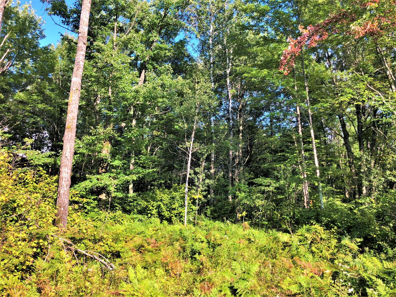 Off Cranberry Creek Road Prentice, WI 54556 - Photo 11 of 11 Gallery Image 11