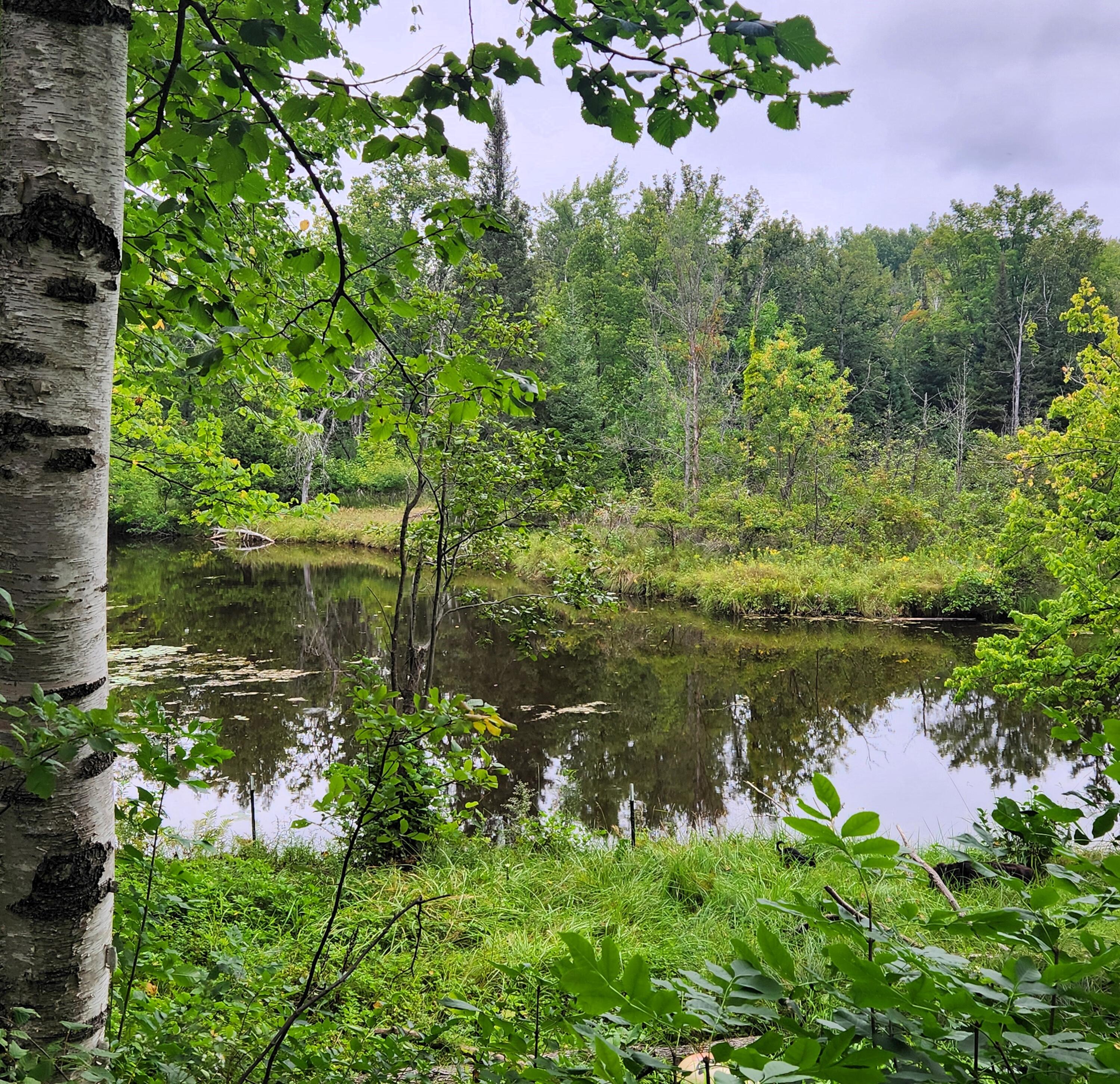 7076 Long Rapids Road Alpena, MI 49707 - Photo 9 of 11 Gallery Image 9