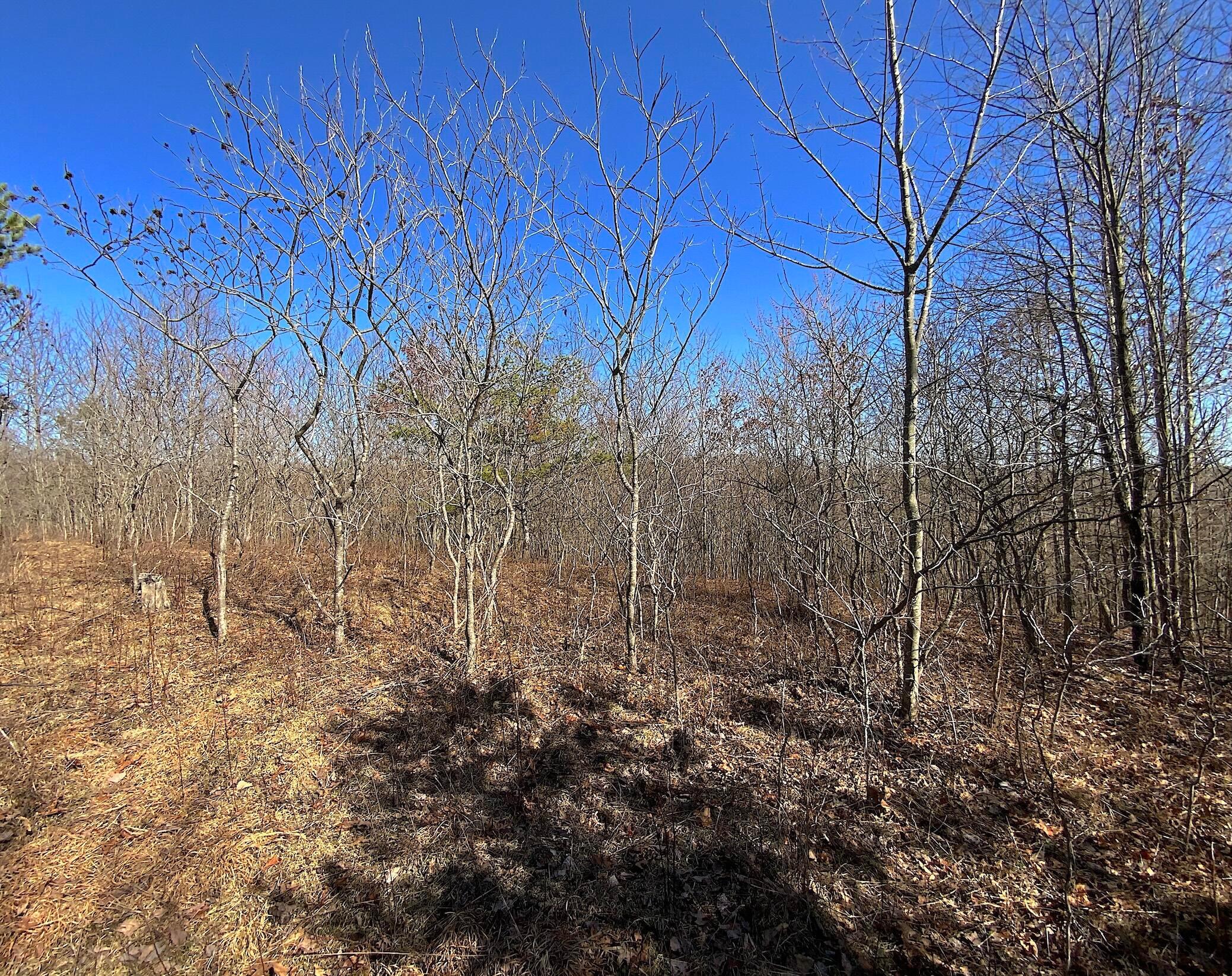 0 Kelly Road Ray, OH 45672 - Photo 20 of 46 Vinton County Kelly Rd 19