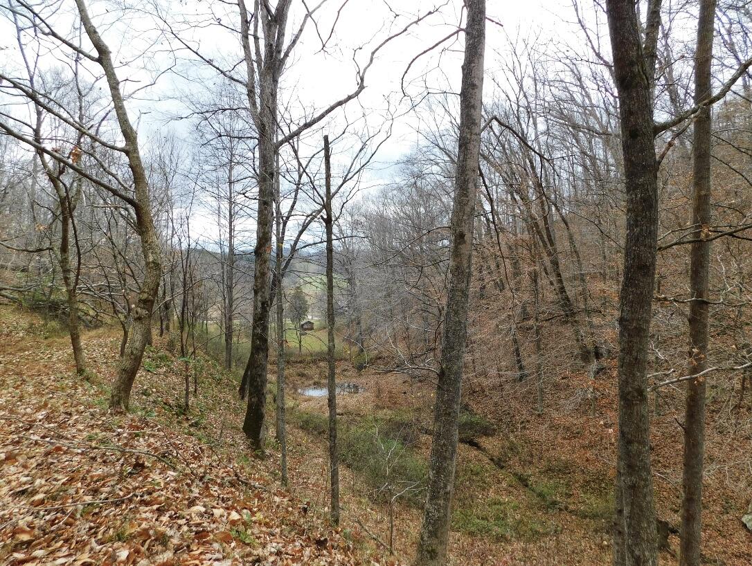 8690 Beattyville Road Jackson, KY 41339 - Photo 111 of 143 58113840-3265-4877-A54C-BDC52C31AB24