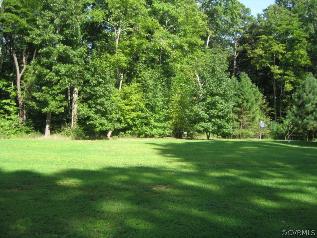 4520 Plank Road Kenbridge, VA 23944 - Photo 3 of 13 a view of a grassy field with trees