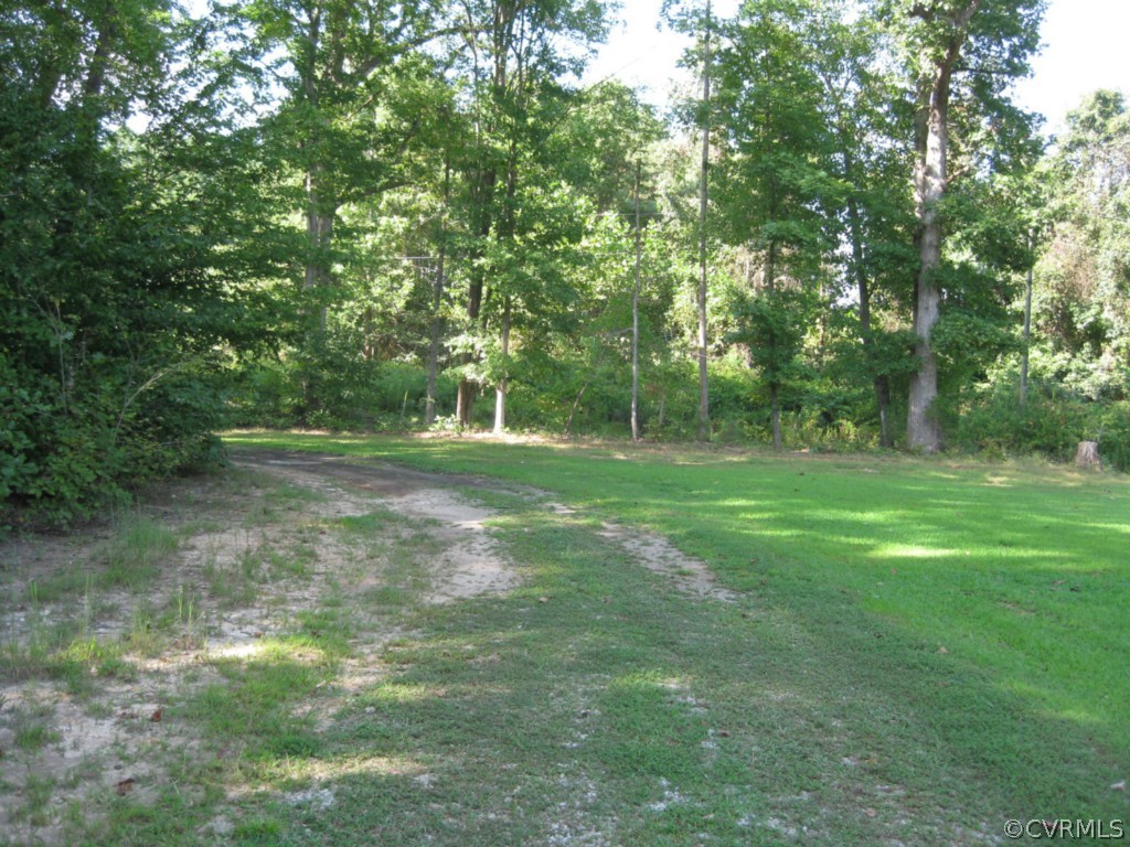 4520 Plank Road Kenbridge, VA 23944 - Photo 4 of 13 a view of outdoor space with trees all around