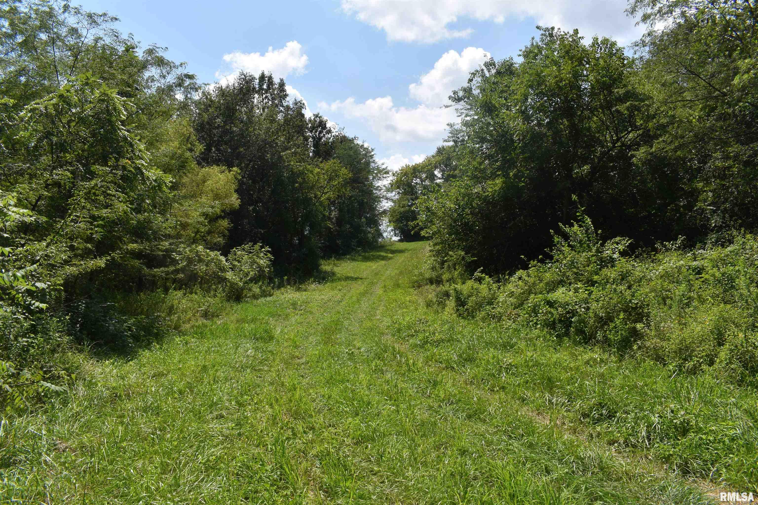 2100 North Road Greenfield, IL 62044 - Photo 15 of 25